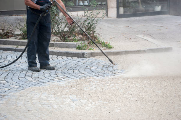 Best Pre-Holiday Cleaning  in Westwood Shores, TX